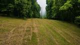 1299 Dixon Town Rd - Photo 5
