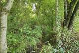 2752 Aston Woods Ln - Photo 41