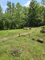 4033 New Highway 96 - Photo 15