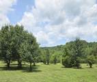 4033 New Highway 96 - Photo 17