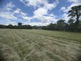 1137 Linwood Rd - Photo 26