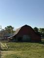 3310 Dog Branch Rd - Photo 6
