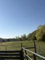3310 Dog Branch Rd - Photo 51