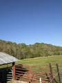3310 Dog Branch Rd - Photo 53