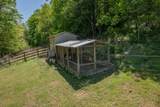 3310 Dog Branch Rd - Photo 8