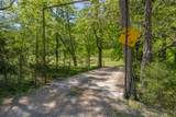 3310 Dog Branch Rd - Photo 72
