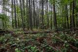 0 Brush Creek Rd - Photo 7