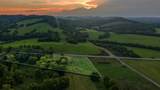 0 Highway 231 South - Photo 6