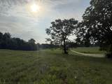 0 Chapel Hill Pike - Photo 5