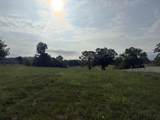 0 Chapel Hill Pike - Photo 6
