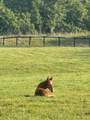 4035 S Forty Eight Creek Rd - Photo 25