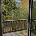 3030 Ned Shelton Rd - Photo 13