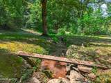264 Beech Branch Rd - Photo 3