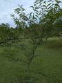 119 Fred Rd - Photo 4