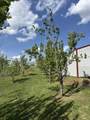119 Fred Rd - Photo 48
