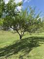 119 Fred Rd - Photo 49