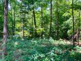 0 Deadwood Drive - Photo 12