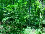 0 Deadwood Drive - Photo 15