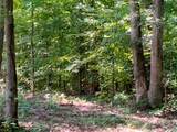 0 Deadwood Drive - Photo 16