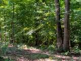 0 Deadwood Drive - Photo 8