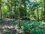0 Deadwood Drive - Photo 9