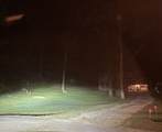 1961 Sunny Side Dr - Photo 25