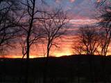 4311 Peytonsville Trinity Rd - Photo 4
