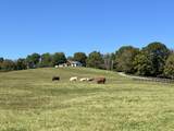 2202 Darks Mill Rd - Photo 66