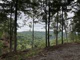 1480 Gravel Hill Rd - Photo 29