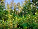0 Copper Springs Road - Photo 9