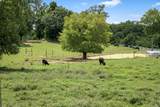 206 Hickerson Rd - Photo 51