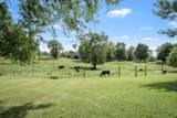 206 Hickerson Rd - Photo 54