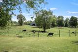 206 Hickerson Rd - Photo 55