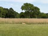 2405 Paul Finley Rd - Photo 3