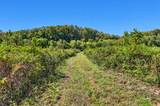 160 Backside Beaverdam Road - Photo 13