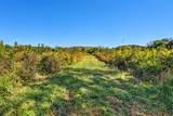 160 Backside Beaverdam Road - Photo 17