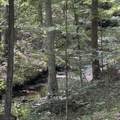 1336 Big Tom Rd - Photo 9