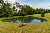 1048 Hillview Dr - Photo 61