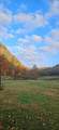 1528 Knob Creek Rd - Photo 12