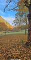 1528 Knob Creek Rd - Photo 13