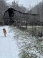 1528 Knob Creek Rd - Photo 15