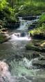 1528 Knob Creek Rd - Photo 17