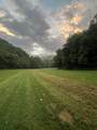 1528 Knob Creek Rd - Photo 19