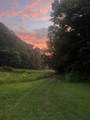 1528 Knob Creek Rd - Photo 20