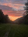 1528 Knob Creek Rd - Photo 21