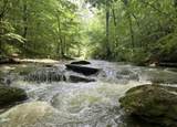 1528 Knob Creek Rd - Photo 22