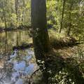 0 Shelbyville Rd - Photo 1