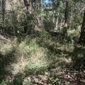 0 Shelbyville Rd - Photo 2