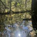 0 Shelbyville Rd - Photo 3