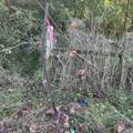 0 Shelbyville Rd - Photo 5